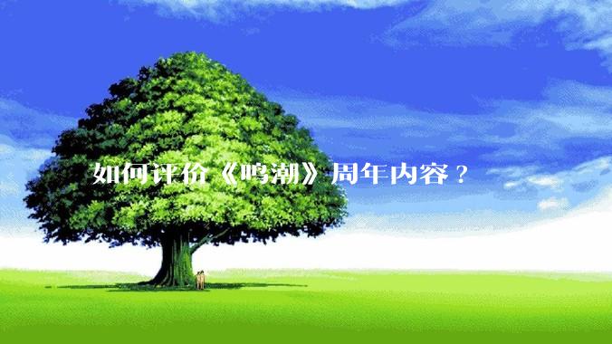 如何评价《鸣潮》周年内容?